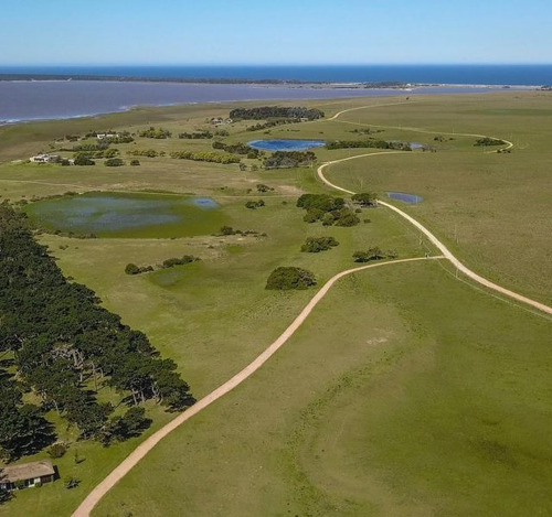 Quinta | La Rinconada - Jose Ignacio