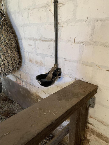 Bebedero Para Caballo Con Lengüeta