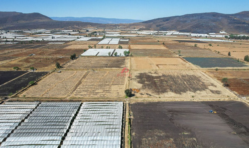 Terreno En Venta Ribera De Chapala, Jalisco