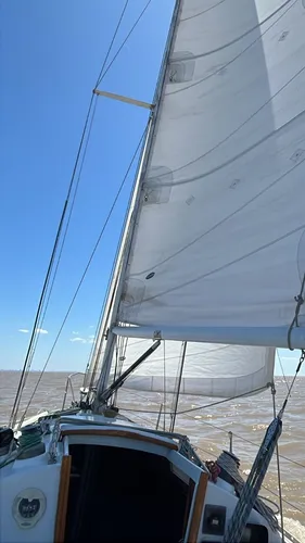 Velero Cp 30- Muy Bueno