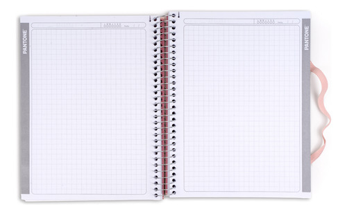 Cuaderno Premium Pantone Metalizado Carta Con Elástico 7mm