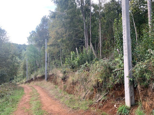 Parcela De 15 Has, A 1 Km Ruta 5 , Lipingue, Los Lagos