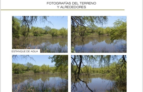 Imagen 4 de 6 de Terreno En Venta En Montemorelos, N.l.