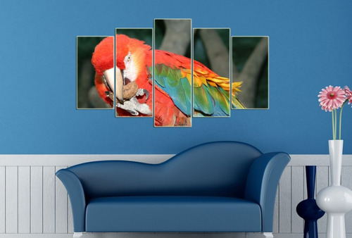 Cuadro 60x100cm Aves Guacamayo Loro Colores M8