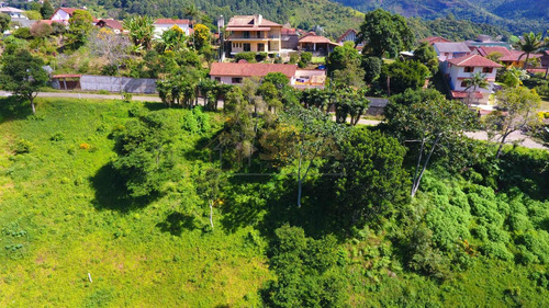 Imagem 1 de 15 de Lotes Exclusivos No Cônego - Lote 04 - 248