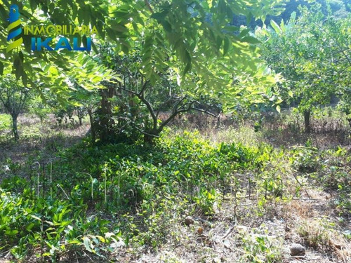 Imagen 3 de 8 de Terreno En Venta Juana Moza