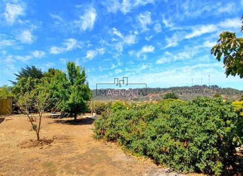 Sitio En Venta En Pichilemu
