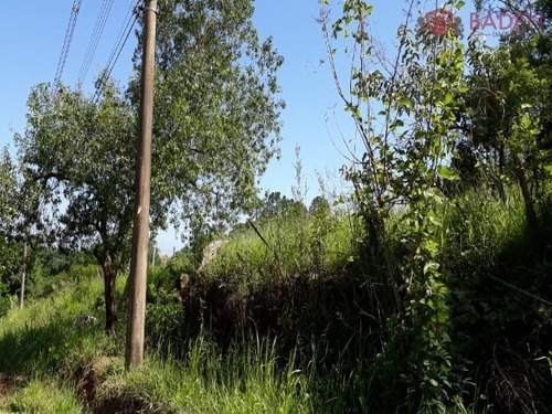 Imagem 2 de 4 de Terreno - Te00339