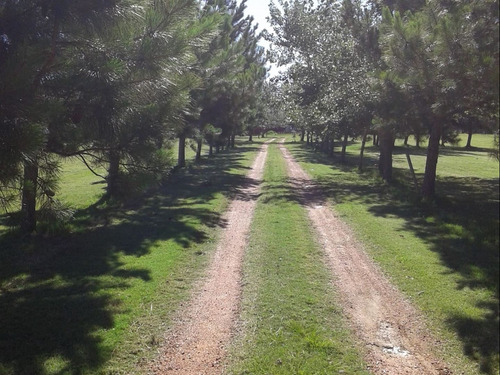 Chacra En Venta En La Ruta 104