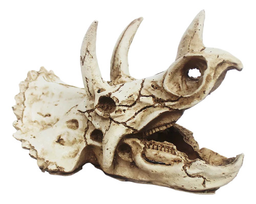 Nomoy Pet Ns-114 Crânio Triceratops 16x8x11cm Decorativo