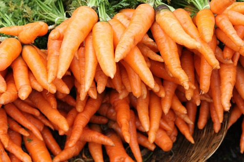 Semillas De Zanahoria Daucus Carota Beltrame 4g Huerta