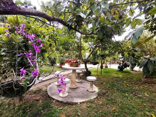 Imagen 17 de 30 de Sp Casa Granja Con Piscina A Minutos Del Este De La Ciudad En Venta En El Cercado Barquisimeto Lara