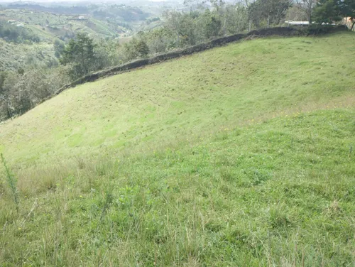 Finca En Guarne Ovejas