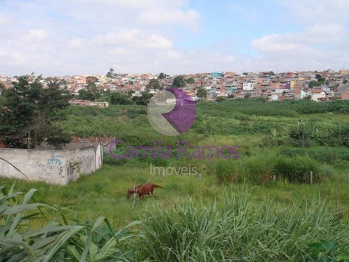 Imagem 13 de 16 de Chácara Residencial À Venda, Jardim Campestre, Suzano. - Ch0026 - 68322234