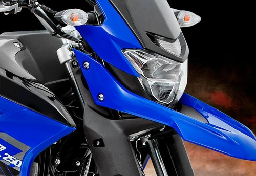 Imagen 11 de 17 de Yamaha Xtz 250 Abs-en Stock Entrega Inmediata - Motoswift