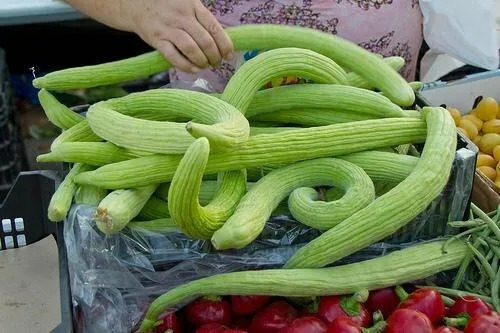 20 Semillas  De Pepino Serpiente Alficoz !!!!!!!!!