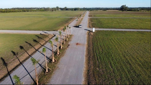 Venta Lote En El Lazo En Exaltacion De La Cruz