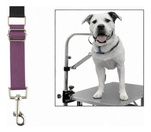 Hjq Extensão De Extensão Do Braço Do Braço De Animais Roxo