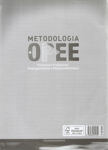 Livro - Empreendedor Mirim - Construindo Seu Projeto De Vida (Usado)