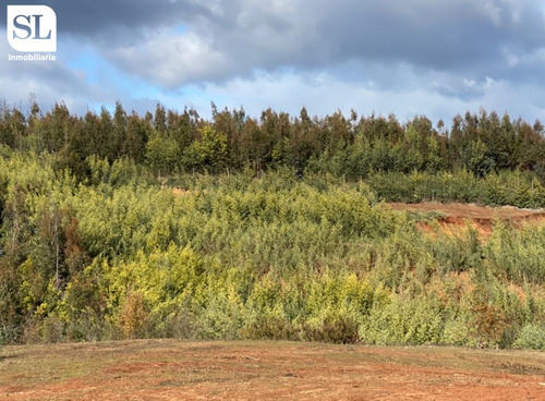 Imagen 1 de 4 de Sitio En Venta En Florida