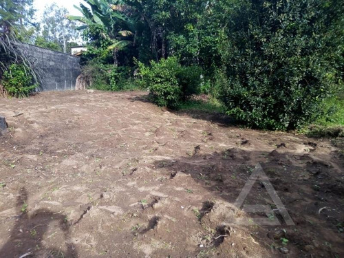 Imagem 5 de 15 de Ref.: 8437 - Chacara Em Santana De Parnaíba Para Venda - V8437