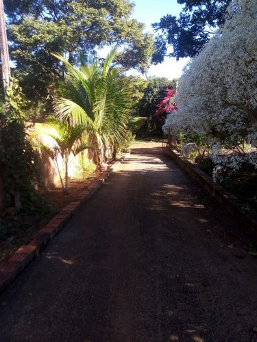 Imagem 2 de 14 de Vendo Chácara Na Roseira De Mogi Guaçu