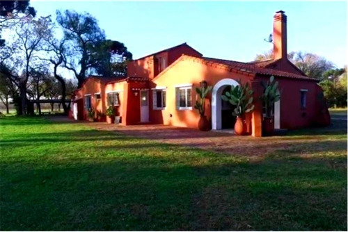 Imagen 7 de 21 de Venta Campo De 195 Ha. En Manzanares Pilar - Único