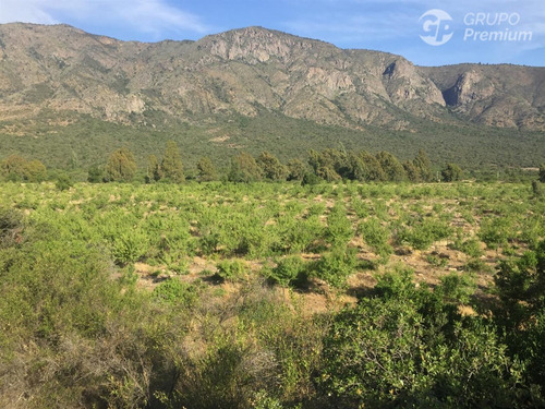 Parcela En Venta En Alhué 45,26 Ha