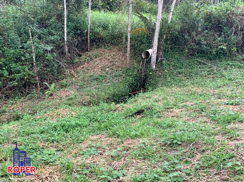 Imagem 24 de 30 de Maravilhoso Sitio Com 72.000 M² Com Lago E Nascente À Venda Em São Lourenço Da Serra - St00022 - 69516737
