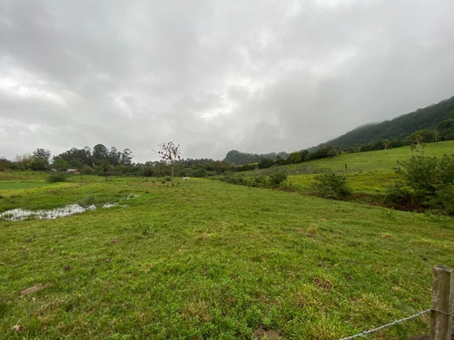 Chácara 19.000 M² - Santa Cruz - Gravataí - Rs - 2447 - 68463646