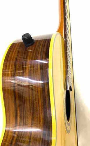 Violão Giannini Gwne 18 El Raridade Novo Fabricado Em 2002