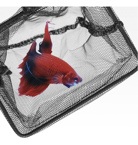 Red Para Peces Seachem Fish Net - Nº8 - 20x15cm
