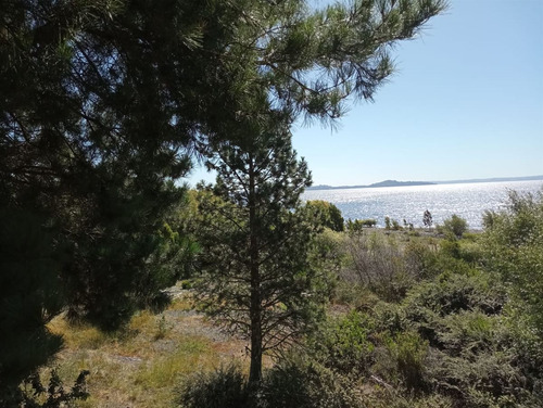 Parcela En Venta En Futrono - Llifen - 1.05 Hectáreas C/rio