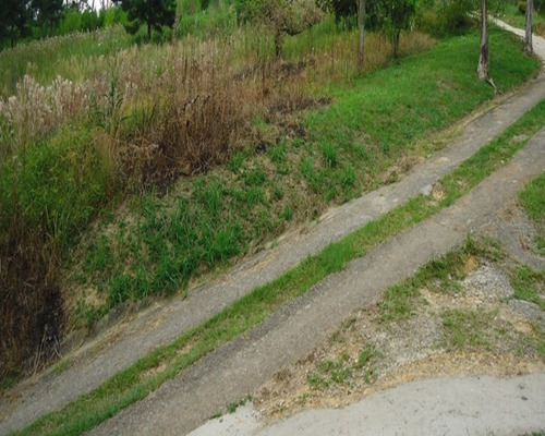 Imagem 2 de 5 de Terreno À Venda Em Juquitiba - 318 - 32982572