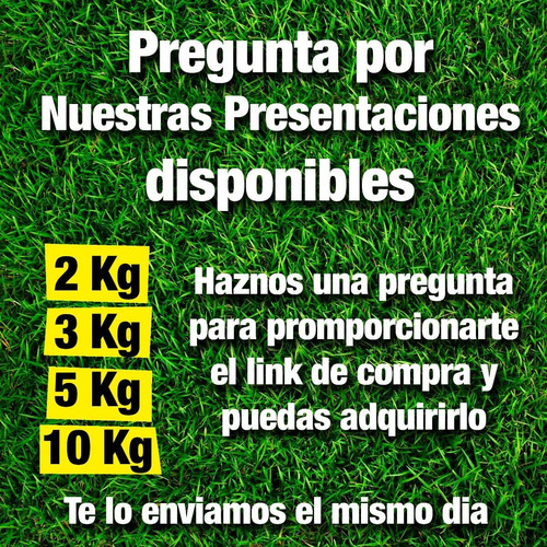 Semilla De Pasto Mezcla Germinaplus Clima Templado 3kg 120m2
