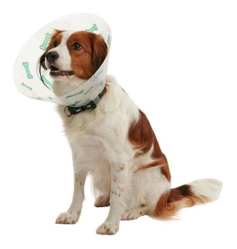 Collar Isabelino Huesitos 15 Cm Beagle, Spaniel 10-15 Kg