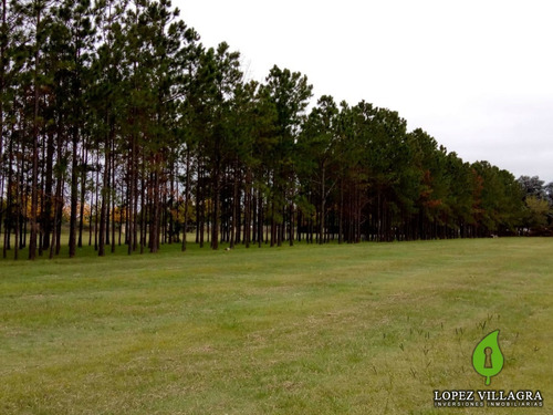 Imagen 2 de 14 de Terreno En Venta En Country Chacra De La Villa Villa Allende Zona Norte Córdoba