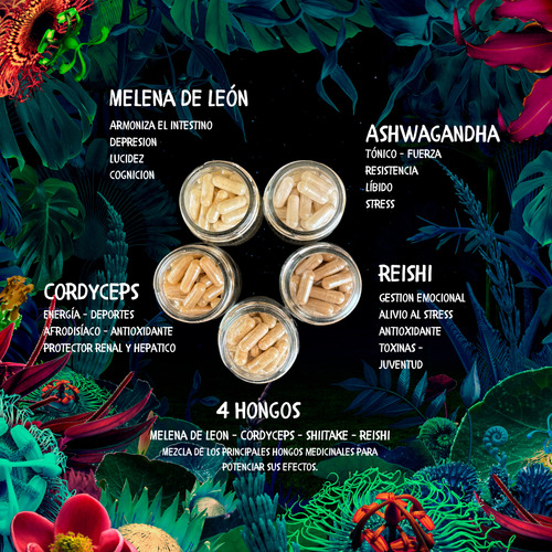 Adaptogenos Variedad 60 Capsulas Sin Sabor 4 Hongos