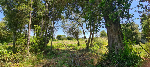 1645 Parcela Ubicada A 8 Km De Camino A Huape,