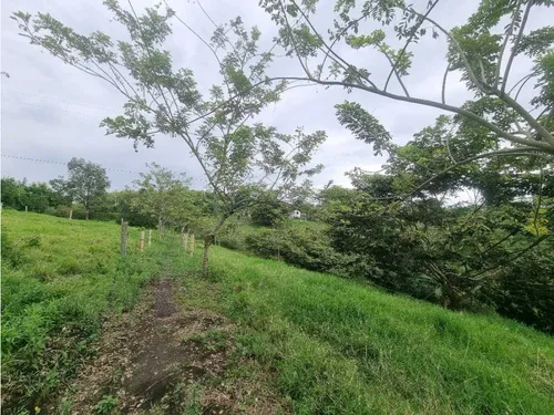 Finca Para La Venta Entre Quimbaya Y Filandia Con Excelenteubicación
