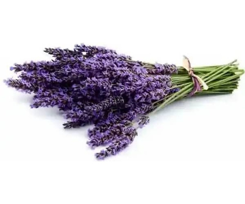 Semillas De Lavanda