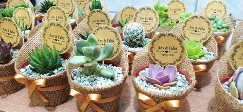 Imagen 4 de 4 de Recuerdos Vivos, Cactus Y Suculentas, Bodas, Bautizos