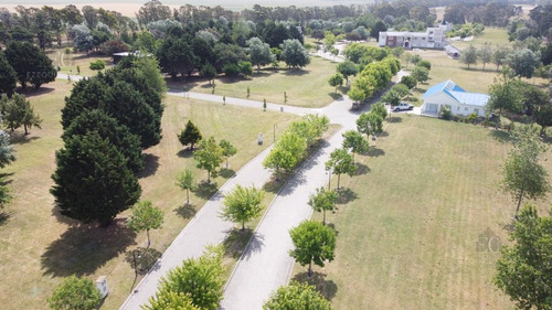 Imagen 15 de 30 de Terreno - Mar Del Plata - Pileta - Mar - Country - Barrio Privado - Golf - Costa Atlántica