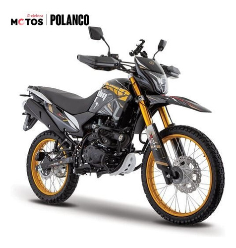 Motocicleta Italika Dm300