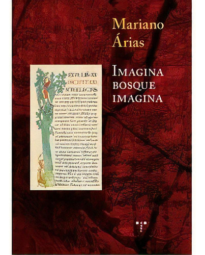 Imagina Bosque Imagina, De Arias Páramo, Mariano. Editorial Ediciones Trea, S.l., Tapa Blanda En Español