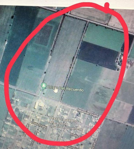 Imagen 2 de 7 de Campo - Pujato Norte