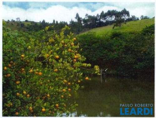 Imagem 5 de 15 de Area - Luiz Carlos - Sp - 431353