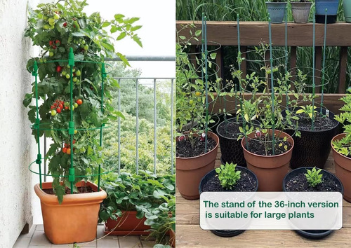 Jaulas Ajustables De Soporte Para Plantas De Tomate. Paqu...