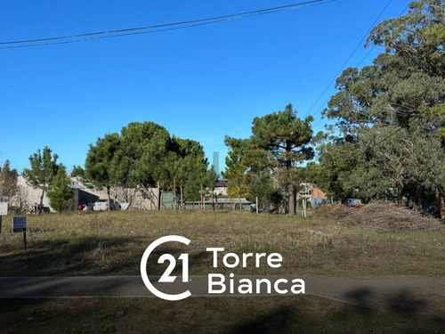 Lote Multifamiliar En Venta En Ostende