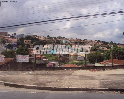 Imagem 4 de 11 de Terreno À Venda No Jardim Campos Eliseos Em Campinas - Te03960 - Te03960 - 70963732